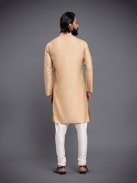 ALIGARHI LOOP BUTTON KURTA