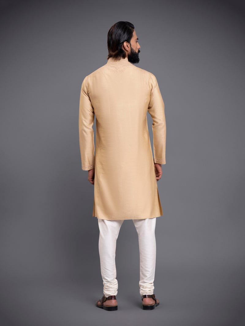 ALIGARHI LOOP BUTTON KURTA