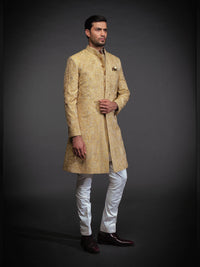 GOLD BROCADE EMBROIDERED ACHKAN